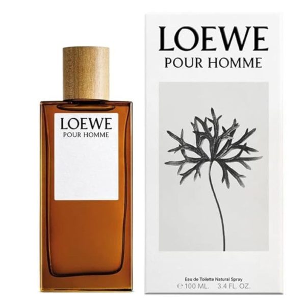 Loewe Solo EDT – Wholesale 3.4 Oz